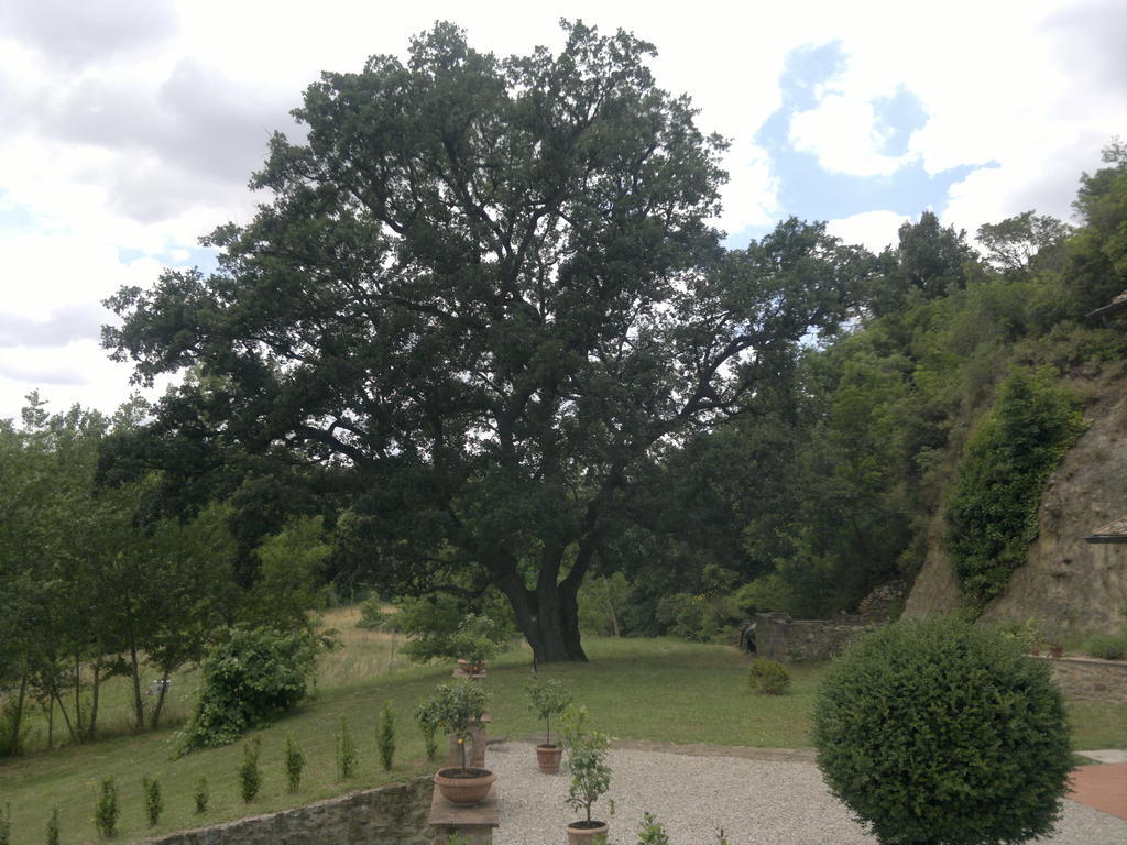 Villa Loghino Volterra Eksteriør bilde